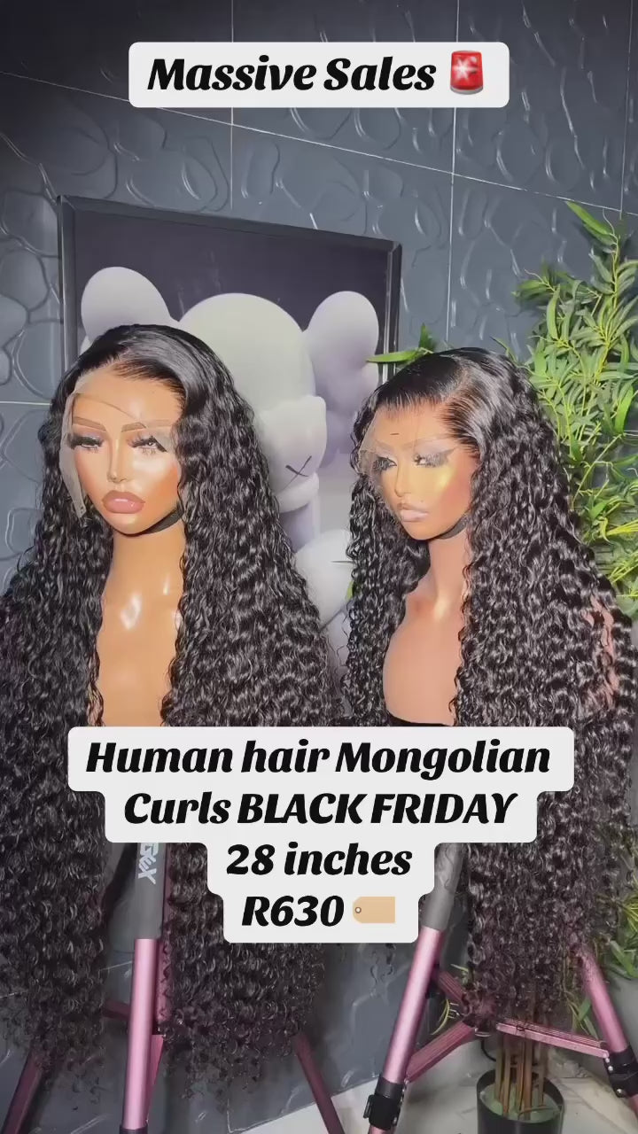 Mongolian Curl